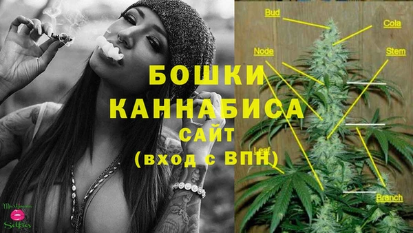 ГАЛЛЮЦИНОГЕННЫЕ ГРИБЫ Белоозёрский