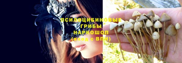 наркотики Белокуриха