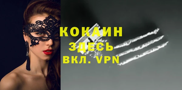 молекула духа Переславль-Залесский