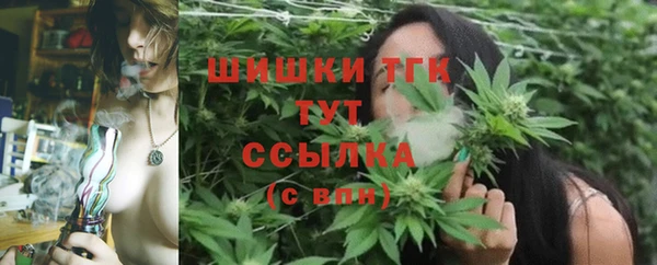 гидропоника Богданович